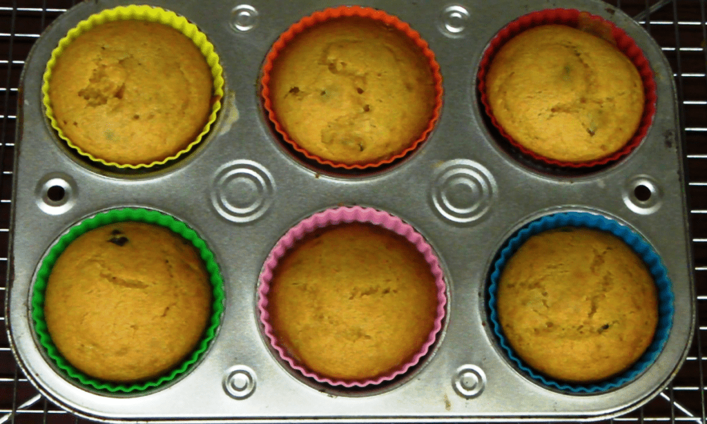 cranberry orange muffins with wheat flour
