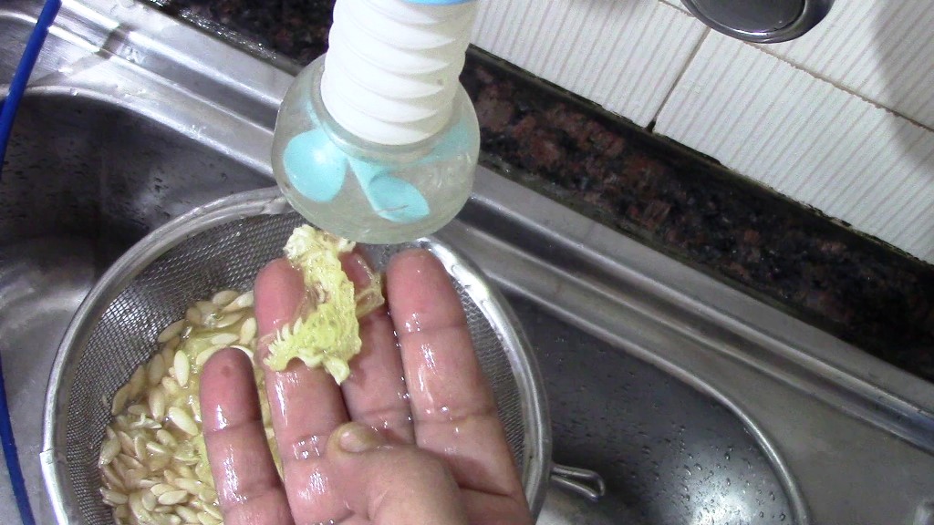 How to Make Muskmelon Seeds Milk at Home | Dairy-free Milk Recipe 6 5 1 Healthically Kitchen
