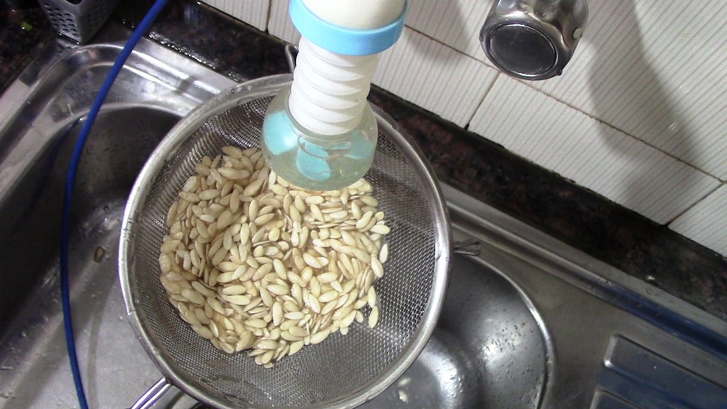 How to Make Muskmelon Seeds Milk at Home | Dairy-free Milk Recipe 7 How to Make Muskmelon Seeds Milk at Home | Dairy-free Milk Recipe