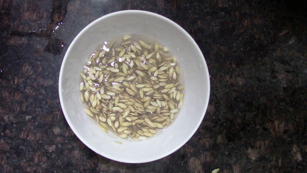 How to Make Muskmelon Seeds Milk at Home | Dairy-free Milk Recipe 8 7 1 Healthically Kitchen