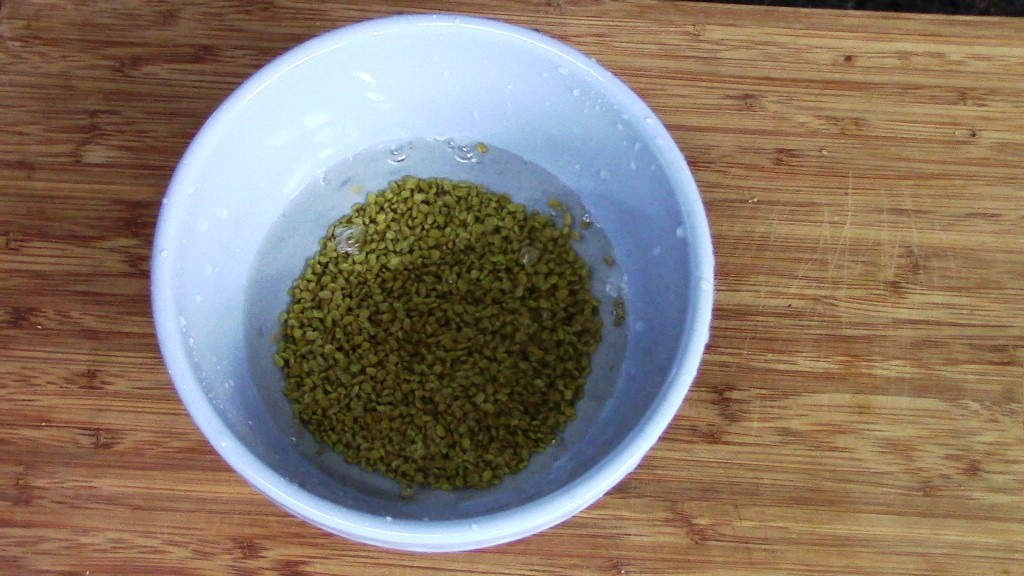 Methi Seeds Sprouts at Home