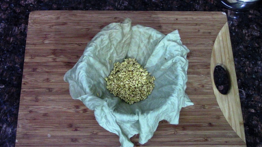 Methi Seeds Sprouts at Home